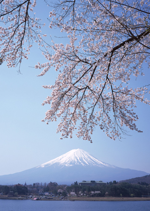 富士と桜