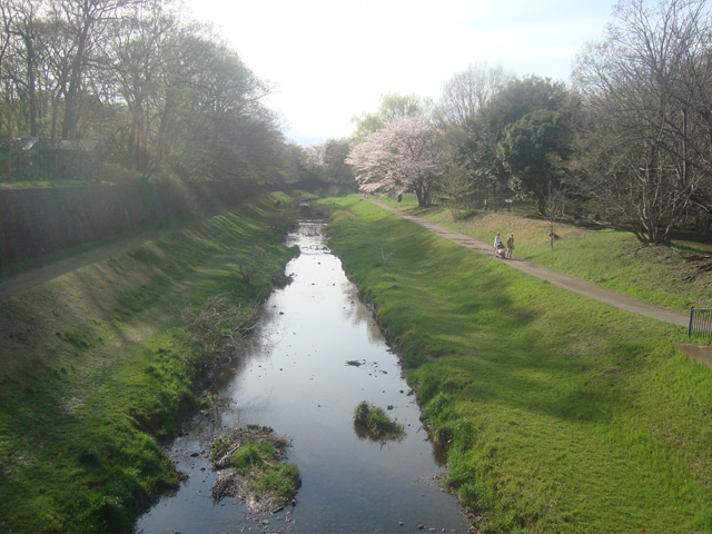 野川