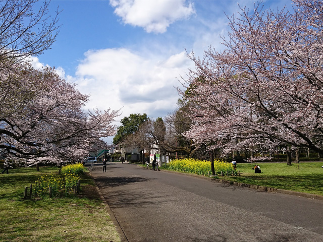 小金井公園